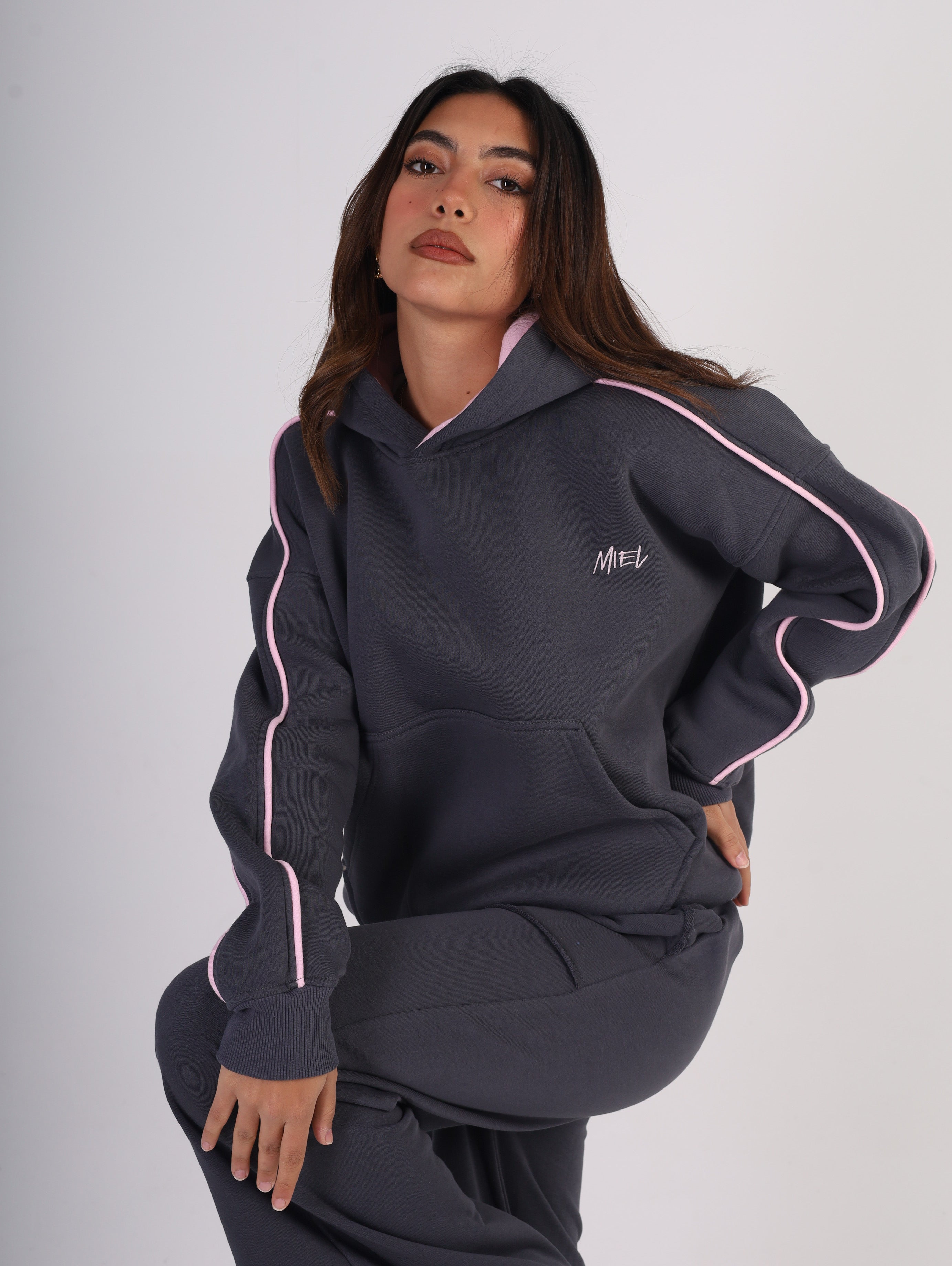 Pink Line Gray Hoodie